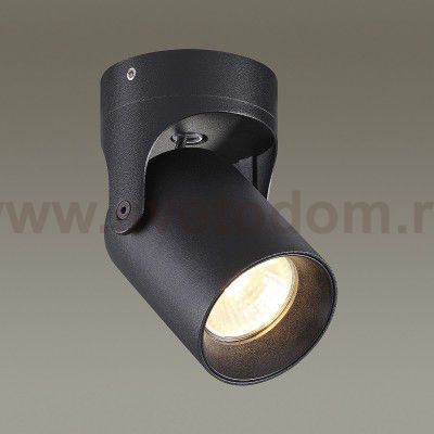 Потолочный накладной светильник Odeon light 3855/1C CORSUS
