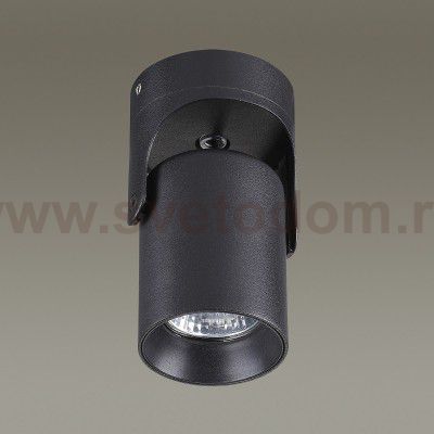 Потолочный накладной светильник Odeon light 3855/1C CORSUS