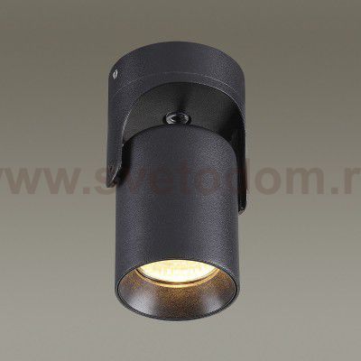 Потолочный накладной светильник Odeon light 3855/1C CORSUS