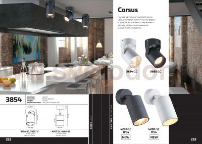 Потолочный накладной светильник Odeon light 3855/1C CORSUS