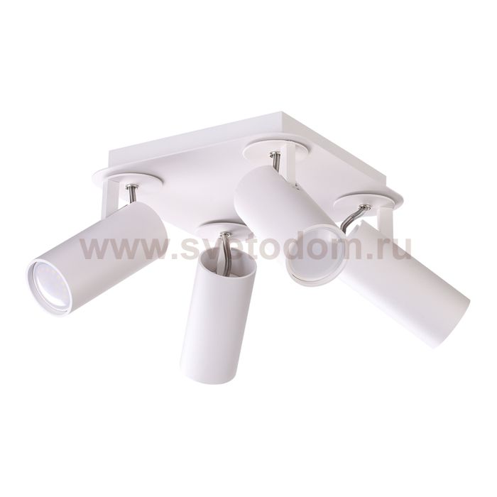 Светильник потолочный Odeon light 3873/4C KIKO