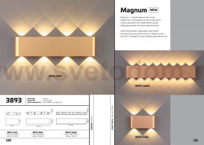 Настенный светильник Odeon light 3893/8WL MAGNUM
