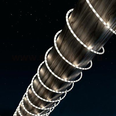 Светодиодная лента Globo 38961 (6м) Light Tube