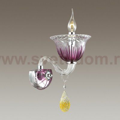 Светильник настенный бра Odeon light 3930/1W OLICA