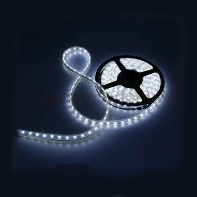 Лента белого свечения Lightstar 400024