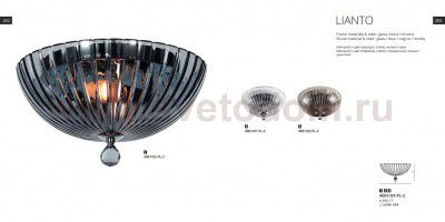 Светильник потолочный Divinare 4001/02 PL-2 Lianto