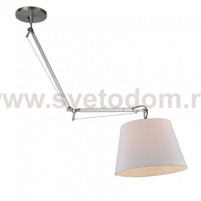 Подвесной светильник Tolomeo Sospensione Decentrata Loft Concept 40.1207