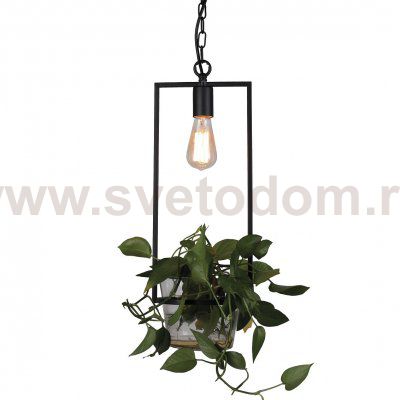 Подвесной светильник Pots Pendant 20 Loft Concept 40.1701