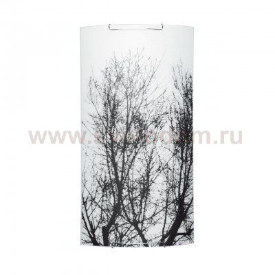 Настенный светильник Spot Light Nature 4020304M