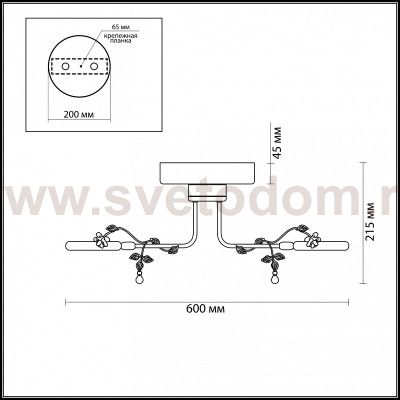 Люстра потолочная Odeon light 4036/48L FIUGGI