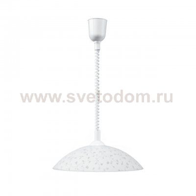 Подвесной светильник Spot Light Flora 4044502A