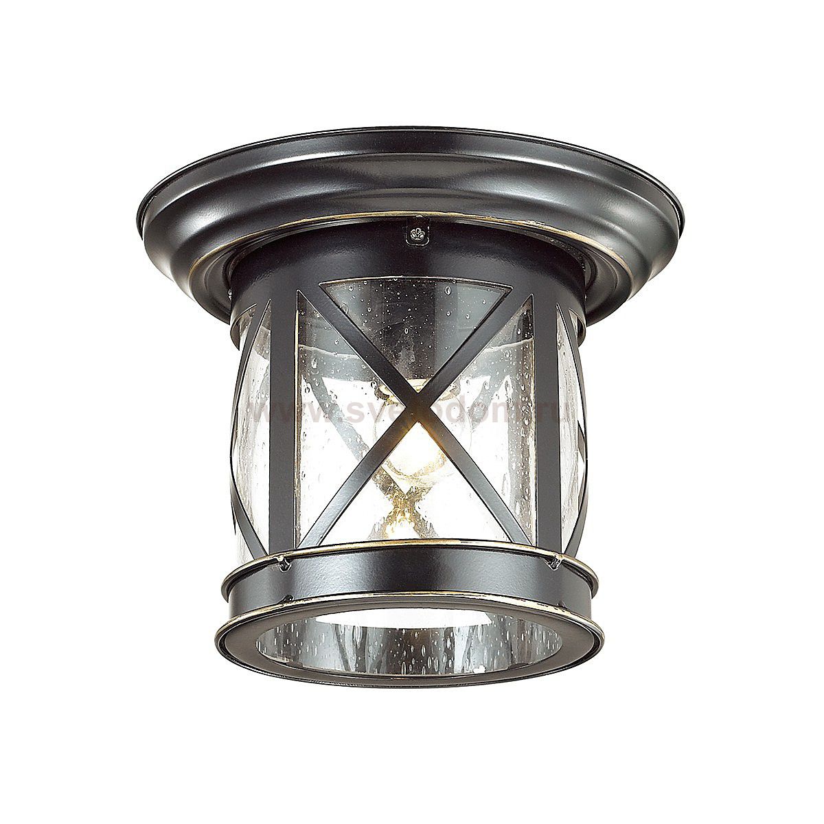 Уличный потолочный светильник Odeon light 4045/1C SATION