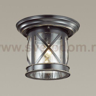 Уличный потолочный светильник Odeon light 4045/1C SATION