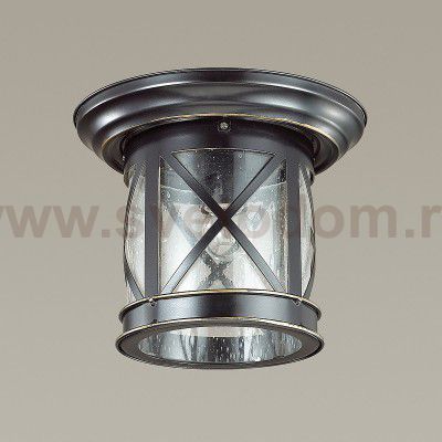 Уличный потолочный светильник Odeon light 4045/1C SATION