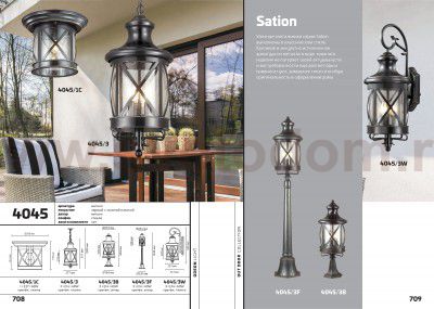 Уличный потолочный светильник Odeon light 4045/1C SATION