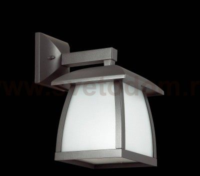 Уличный настенный светильник Odeon light 4049/1W TAKO
