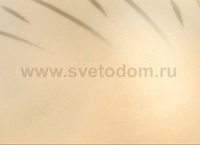 Светильник настенно-потолочный Globo 40593 