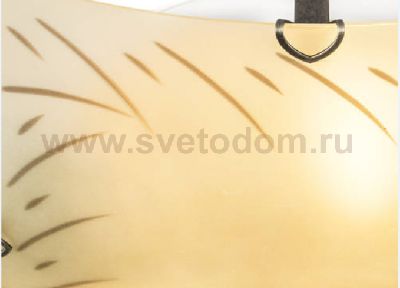 Светильник настенно-потолочный Globo 40595