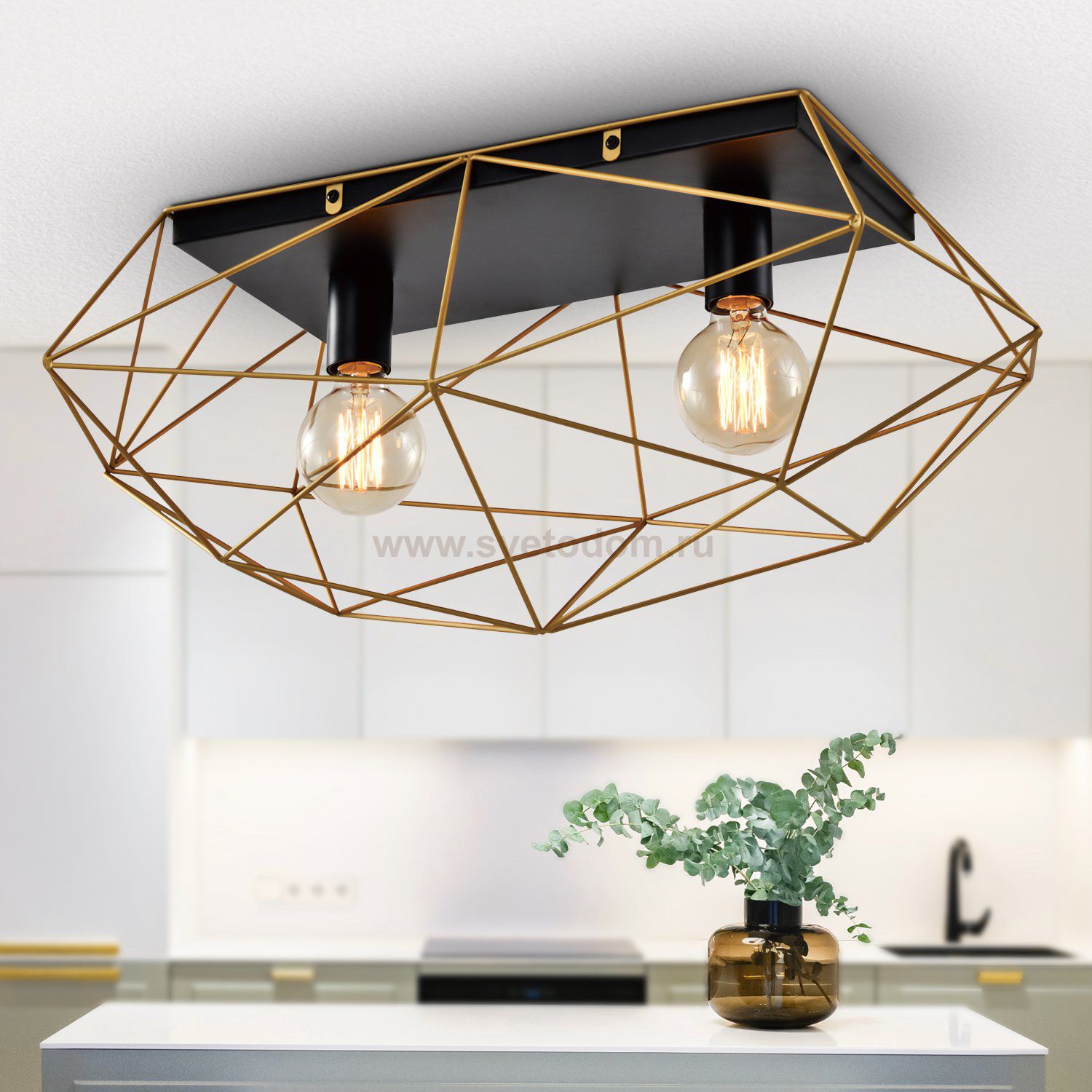 Светильник потолочный Rivoli Roxana 4097-312 2 х Е27 40 Вт для натяжных потолков