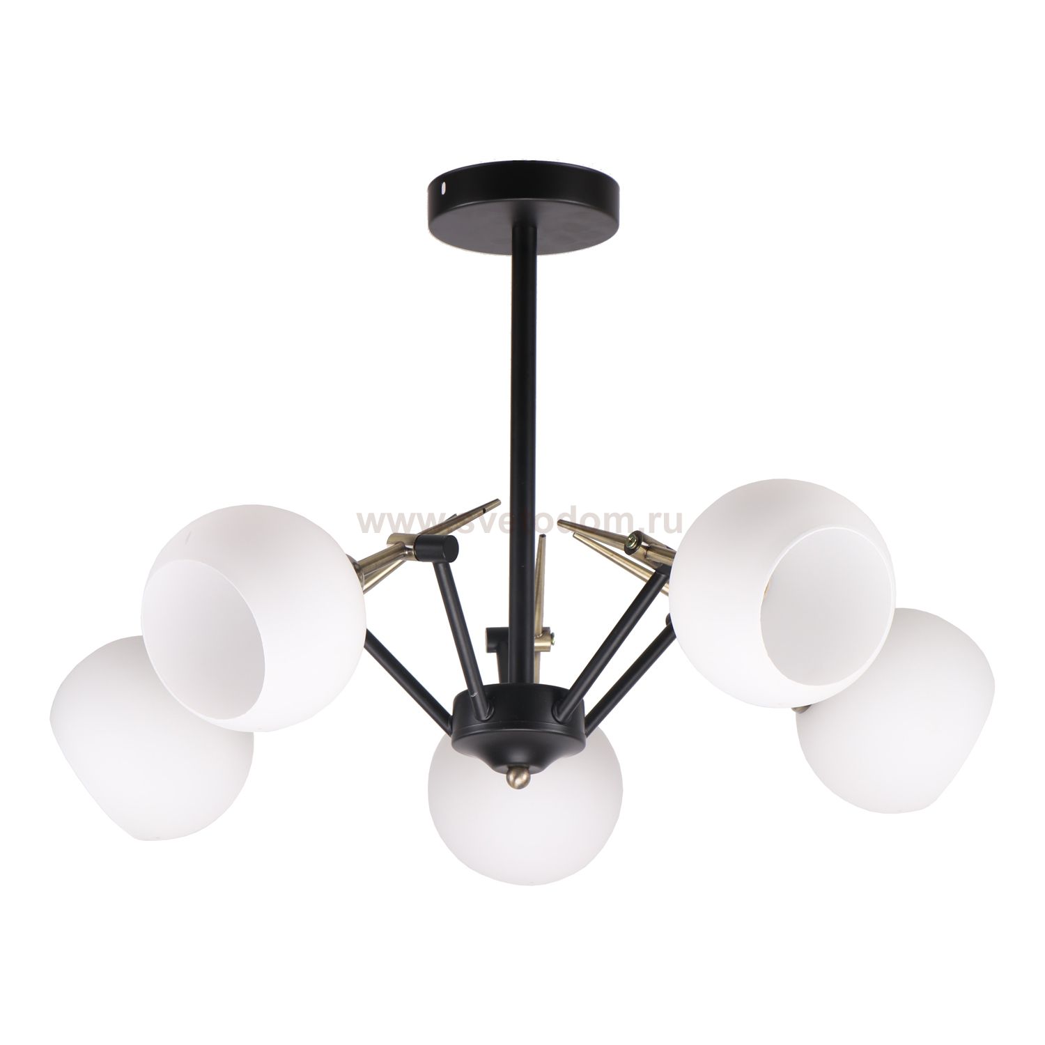 Потолочный светильник Экономсвет 41061/5BK+AB WT