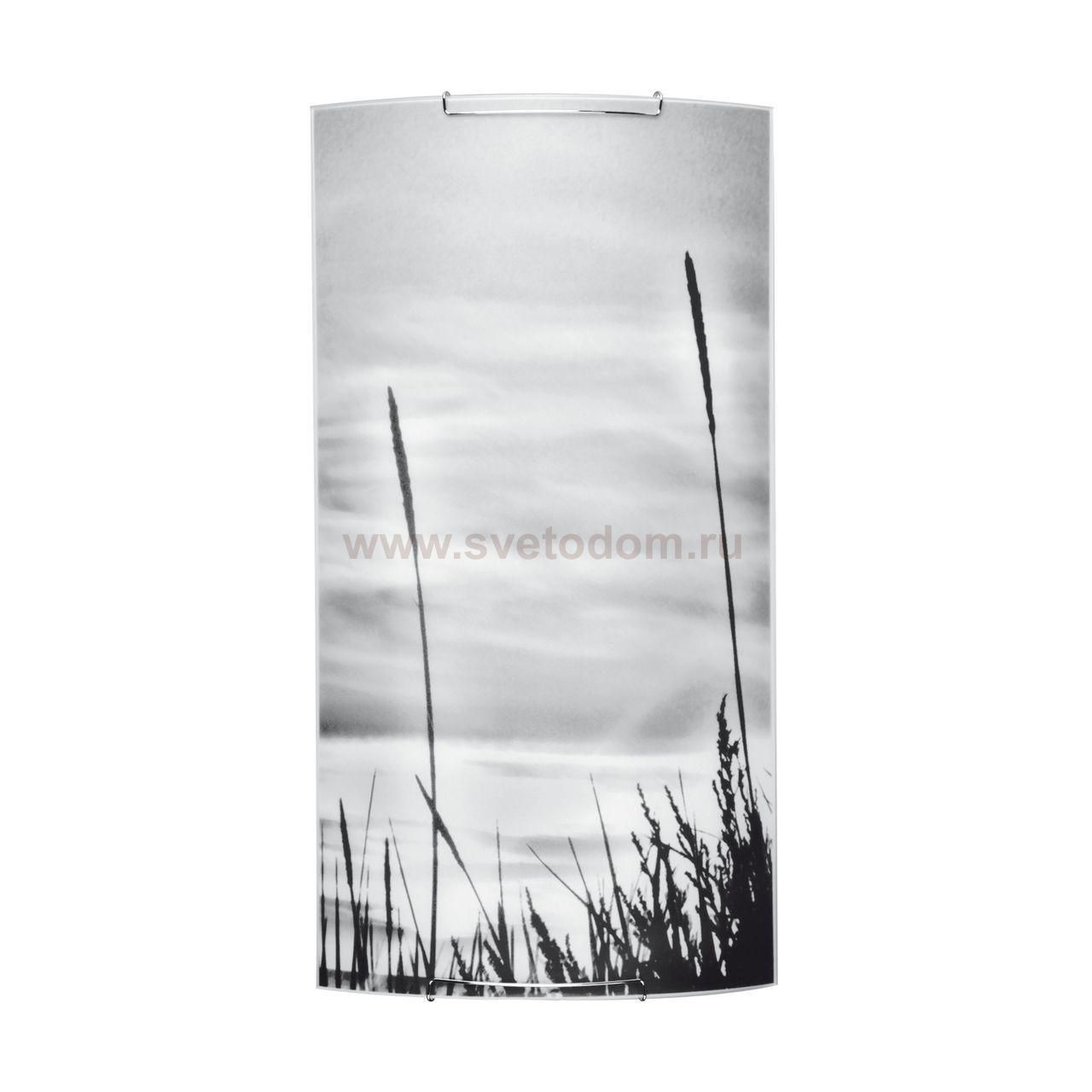 Настенный светодиодный светильник Spot Light Nature 4130304M