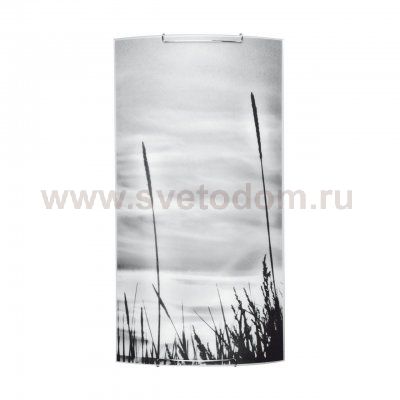 Настенный светодиодный светильник Spot Light Nature 4130304M