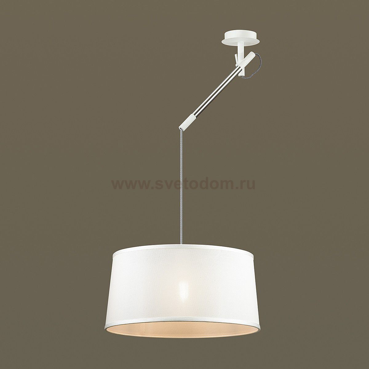 Подвесной светильник Odeon light 4160/1 LOKA