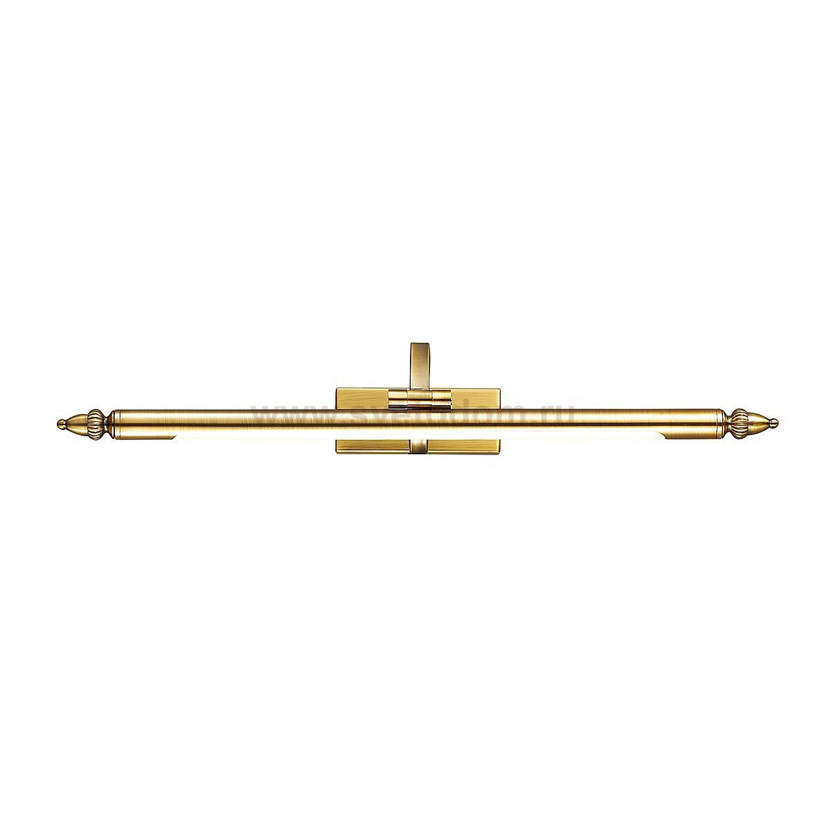 Подсветка для картин с выключателем Odeon light 4179/5WL LION