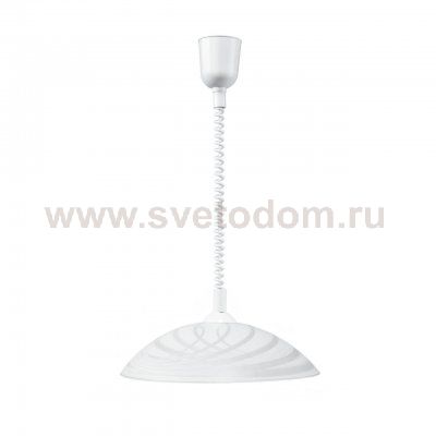 Подвесной светильник Spot Light Sydney 4233502A