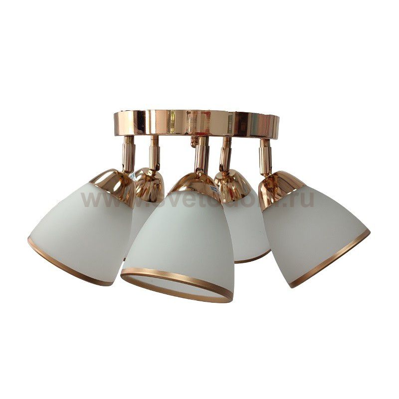 Экономсвет 4268/5FGD WT