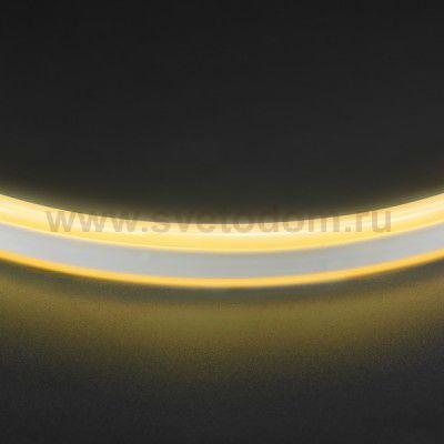 Лента белого свечения Lightstar 430102 Neoled