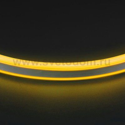 Лента цветного свечения Lightstar 430106 Neoled