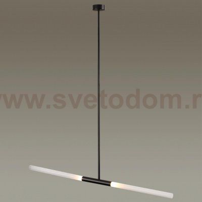 Потолочный светильник Odeon light 4307/2 SOHO