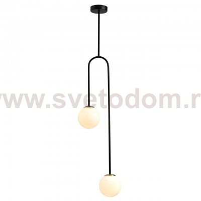 Потолочный светильник Odeon light 4340/2 AMBI