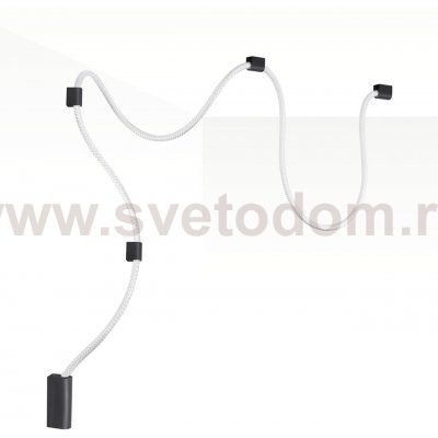 Настенно-потолочный светильник Odeon light 4391/30CL CORDA