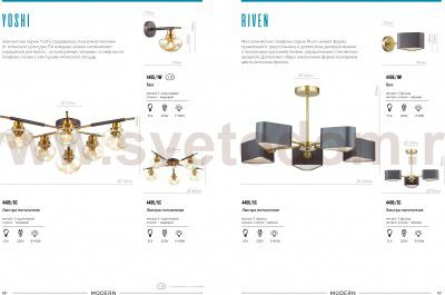 Светильник настенный бра Lumion 4405/1W YOSHI