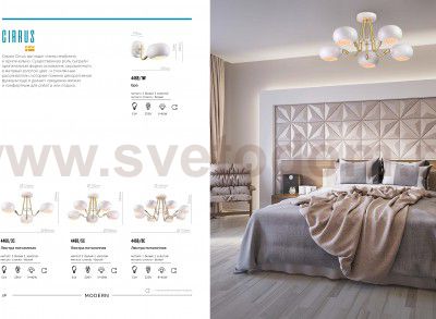 Светильник настенный бра Lumion 4468/1W CIRRUS