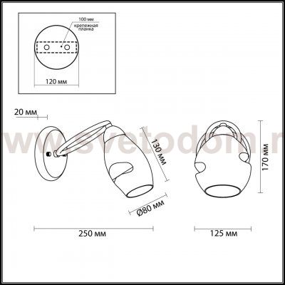 Светильник настенный бра Lumion 4483/1W ORLA