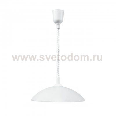 Подвесной светильник Spot Light Alaska 4503502A