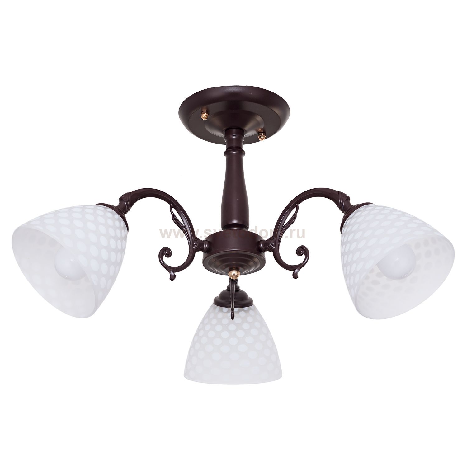 Потолочный светильник Экономсвет 451/3BR WT