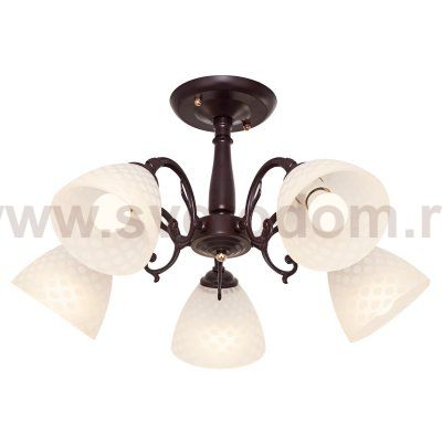 Потолочный светильник Экономсвет 451/5BR WT