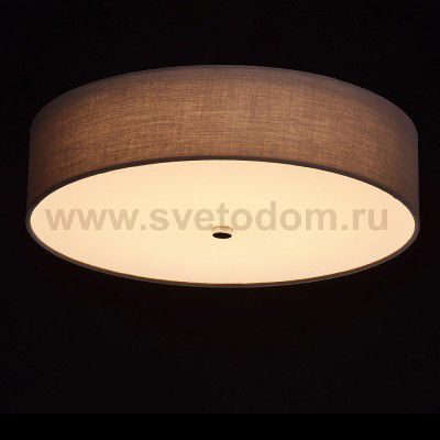 Mw light 453011301 Светильник