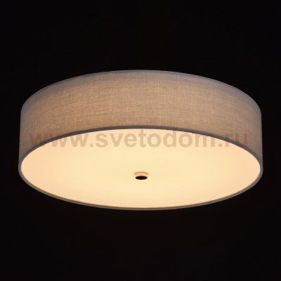 Mw light 453011401 Светильник