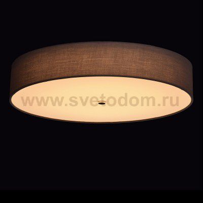 Mw light 453011601 Светильник