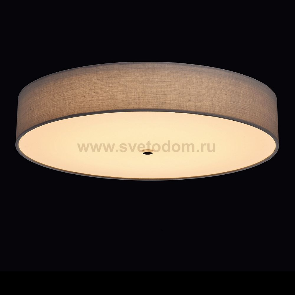 Mw light 453011701 Светильник