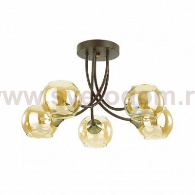 Светильник Odeon light 4550/5C