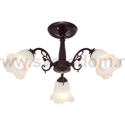 Потолочный светильник Экономсвет 457/3BR WT