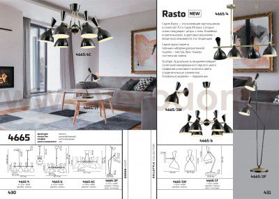 Люстра Odeon light 4665/6 RASTO