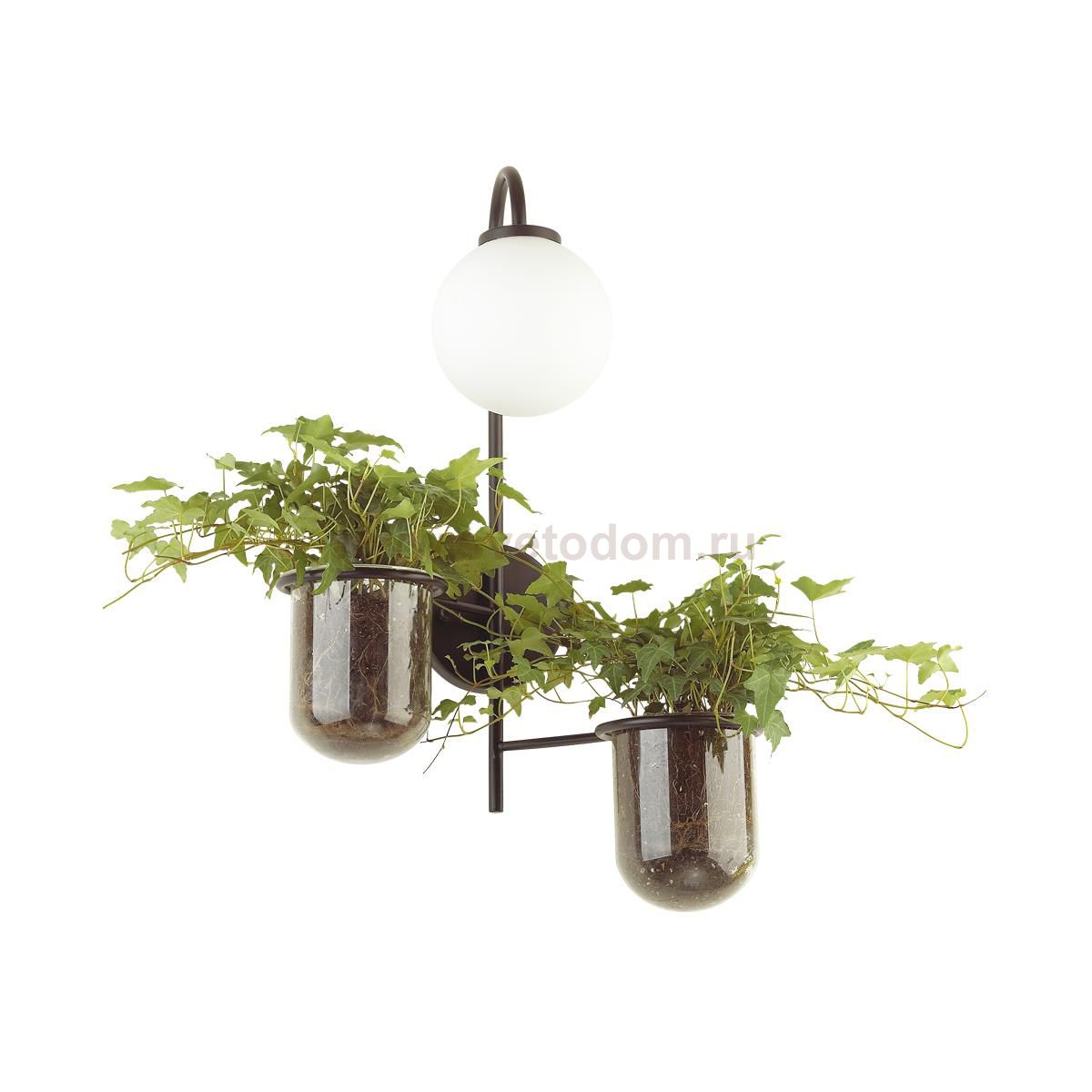 Настенный светильник Odeon light 4681/1W FLOWER