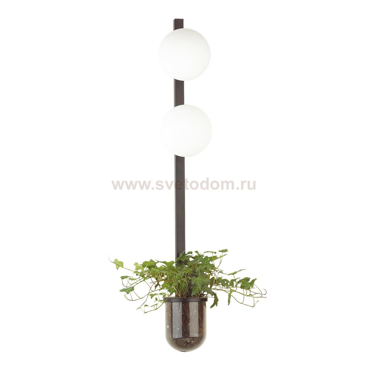 Настенный светильник Odeon light 4681/2WA FLOWER